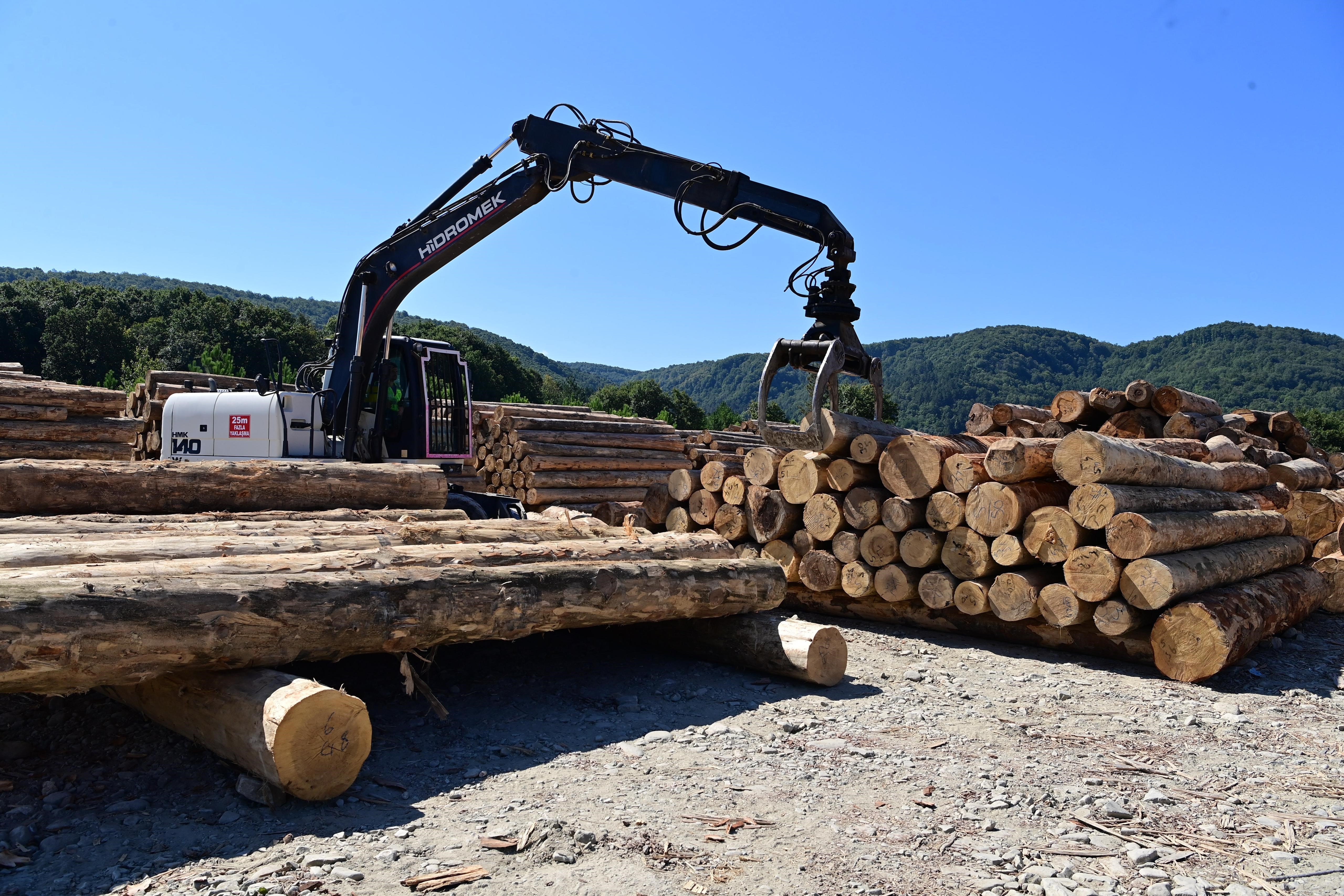 Sinop’un Tarakçı Deposu: Karadeniz’in En Büyüğü