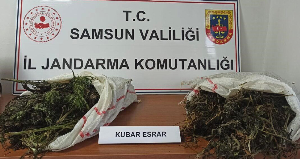 Samsun’da Büyük Esrar Operasyonu