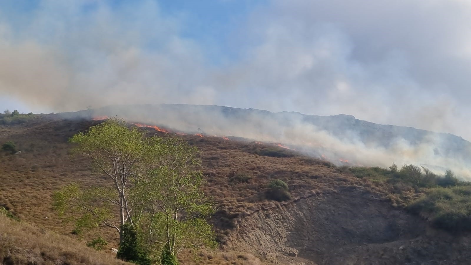 Mutlu şehir Sinop'ta 13 olan orman yangını sayısı 40 oldu