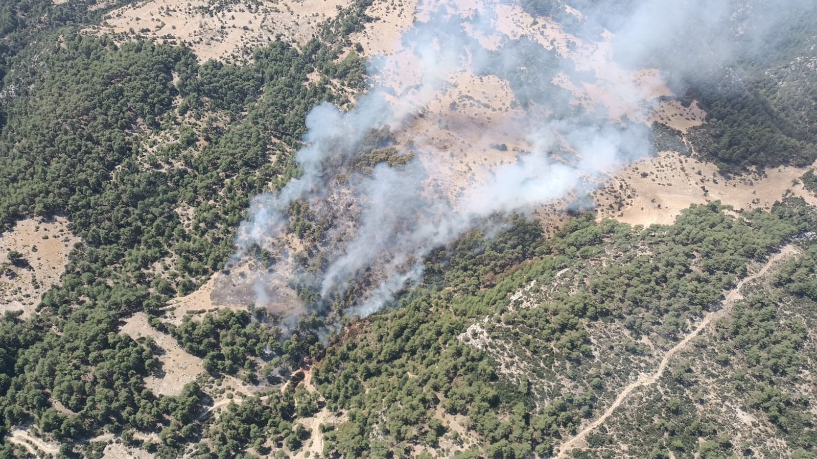 Kaş'ta Orman Yangınına Yoğun Müdahale