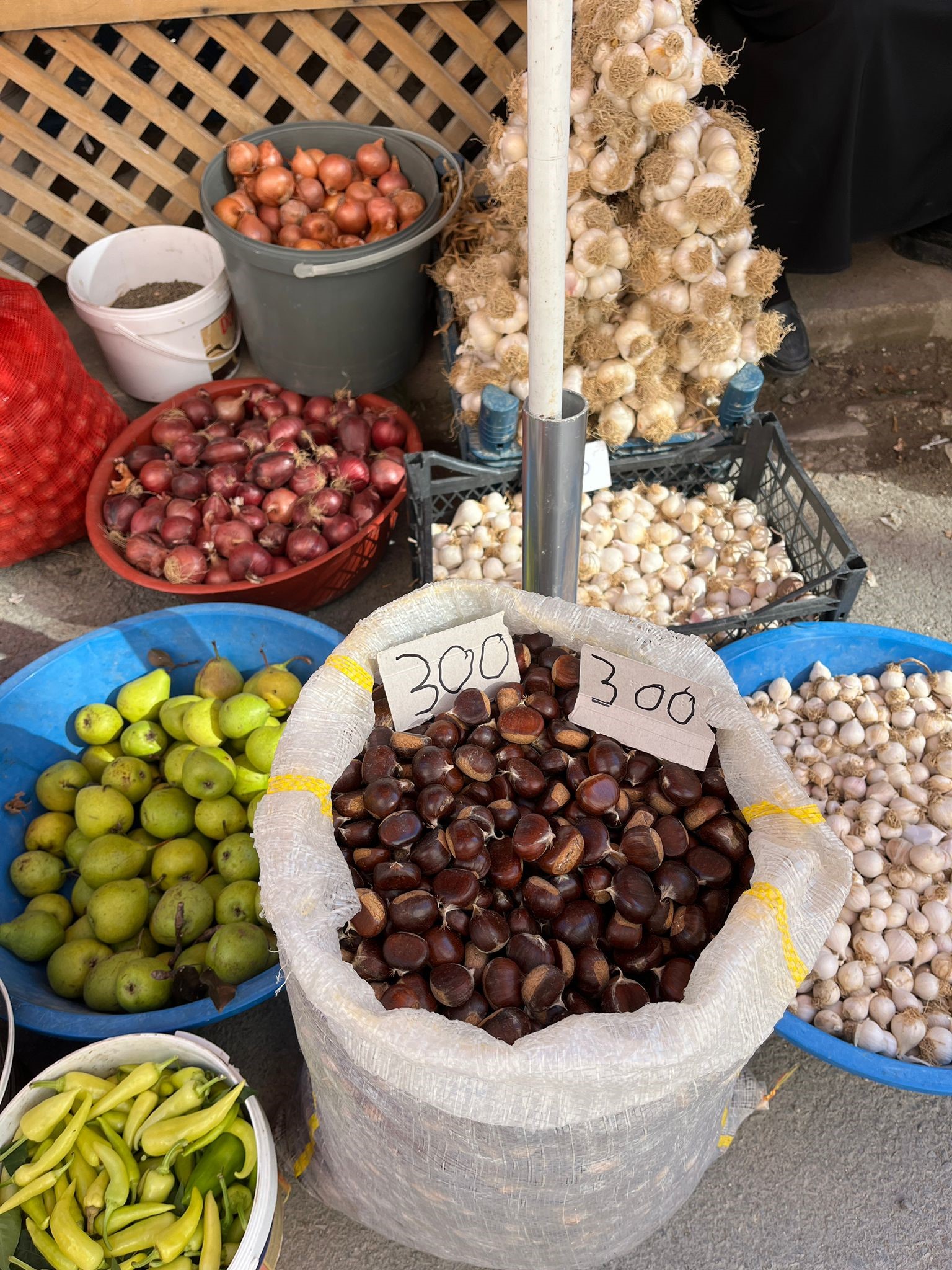 Kestane tezgahlarda: 300 lira..