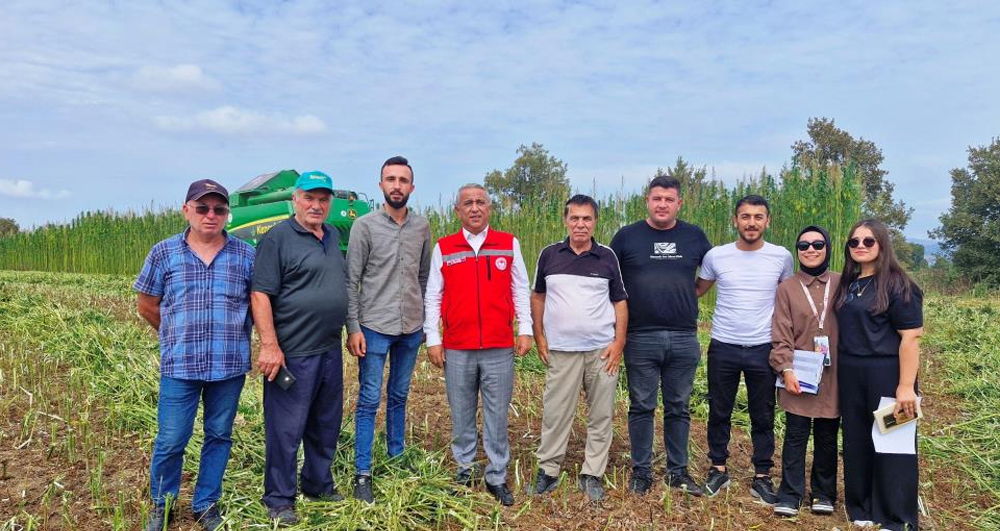 Yeşil Altın Samsun’da: Kenevir Üretimi Yükseliyor