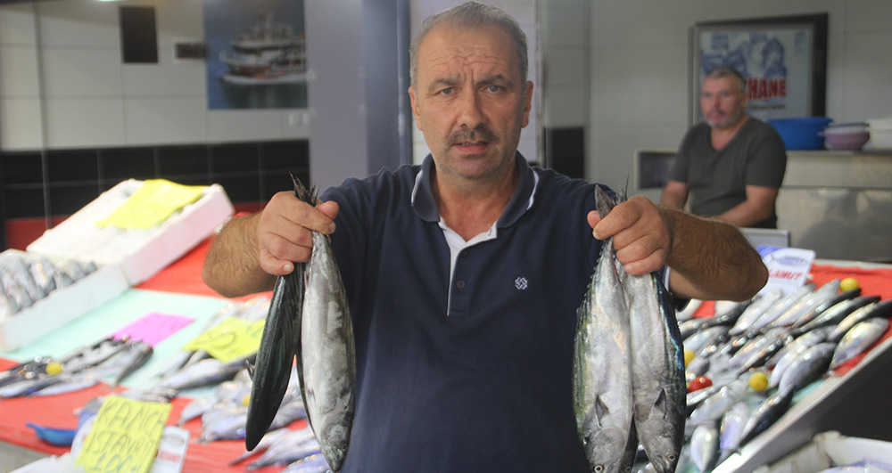 Karadeniz'de Palamut Fiyatları Düşüşte