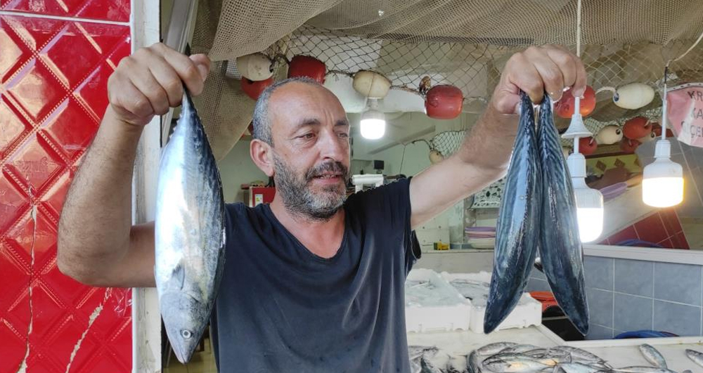 Av Yasağı Kalktı, Tezgahlar Şenlendi