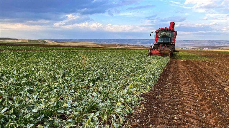 Tarımsal Girdi Fiyat Endeksi: Yıllık Artış %41,60