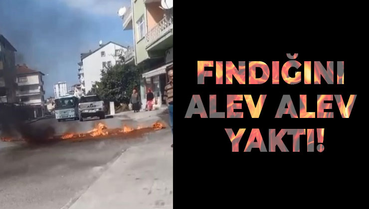 FINDIĞINI ALEV ALEV YAKTI!