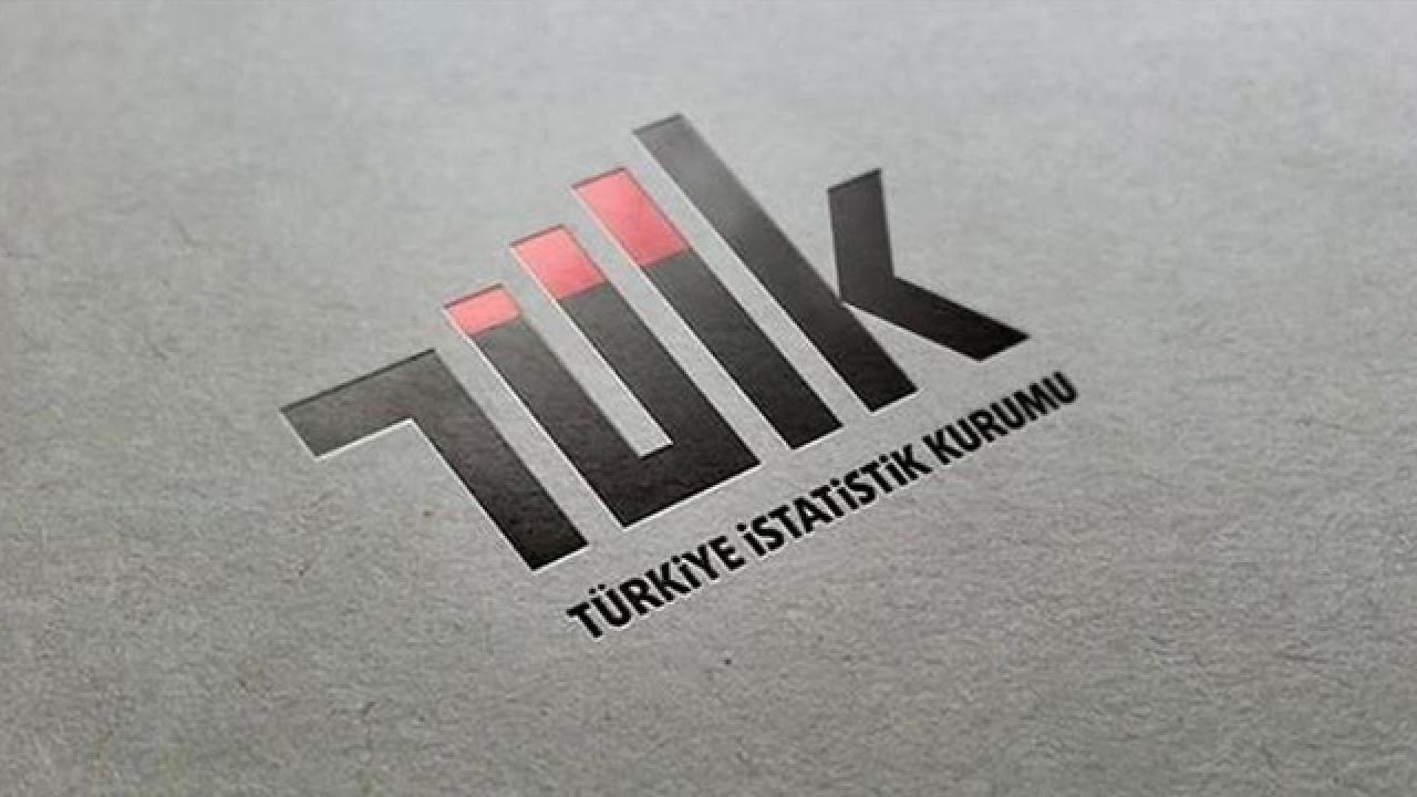 TÜİK 2023: İmalat Sektörü En Büyük Aktife ve Net Kara Sahip