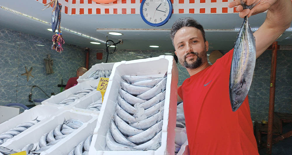 Samsun’da Palamut Bolluğu: Fiyatlar 50 TL’ye Düştü