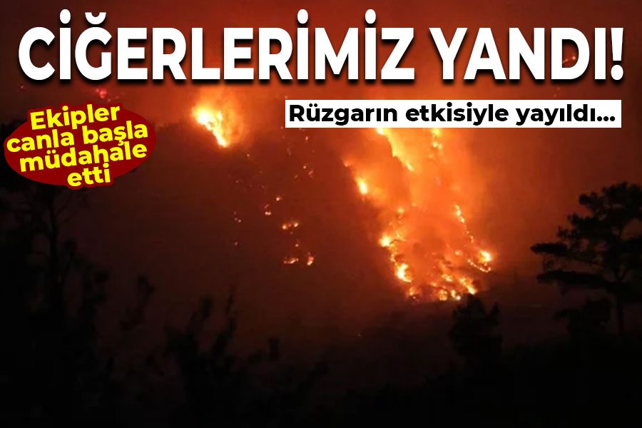 Ciğerlerimiz yandı! Ekiplerden canla başla müdahale...