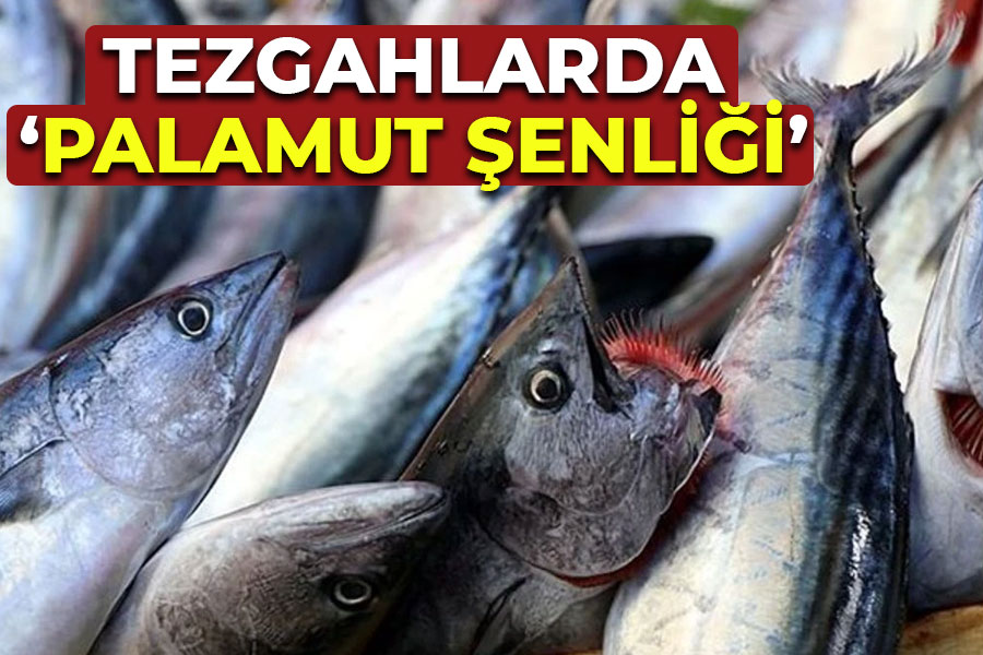 Tezgahlarda 'palamut şenliği' yaşanıyor