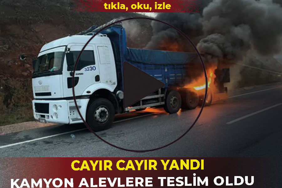 Kamyon alevlere teslim oldu