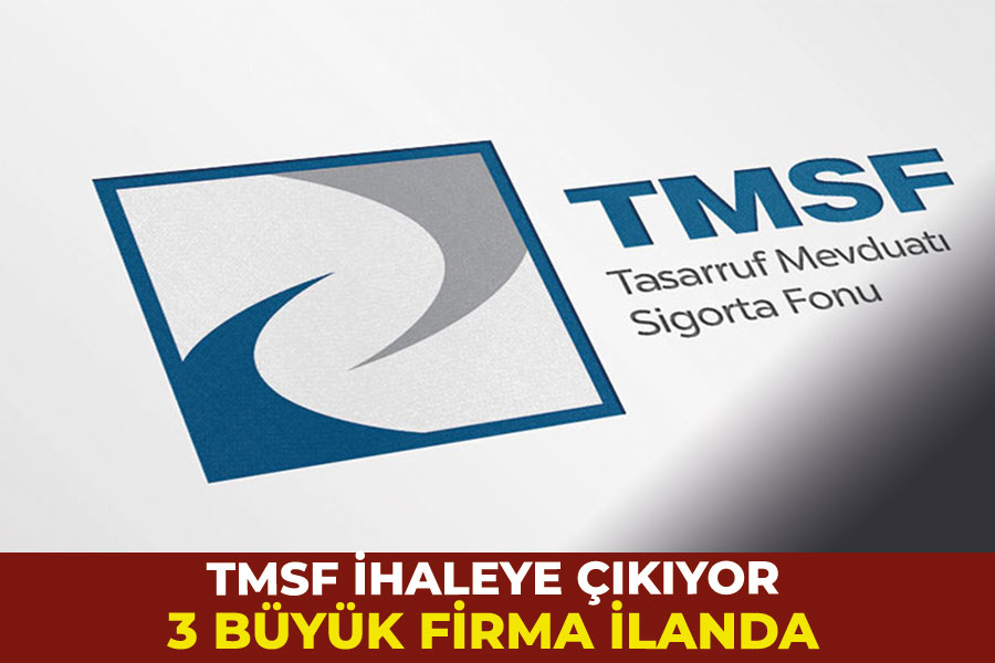 TMSF, 3 şirketi satışa çıkarıyor