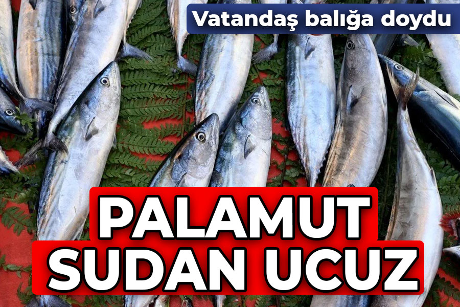 Vatandaş balığa doydu! Palamut sudan ucuz