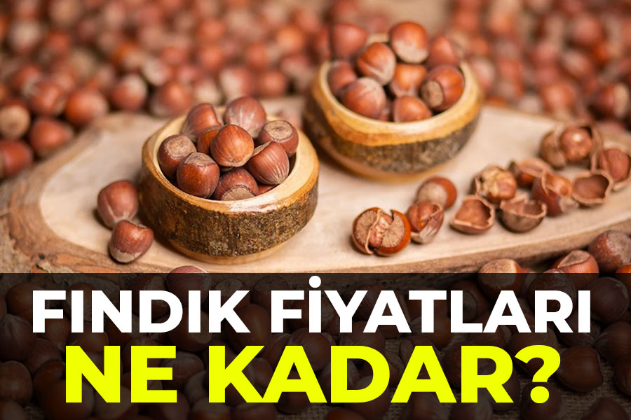 12 Kasım 2024 Salı Fındık Fiyatları ne kadar?