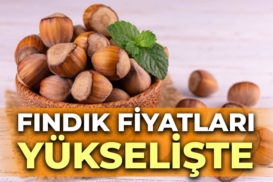 15 Kasım 2024 Cuma Fındık Fiyatları ne kadar?