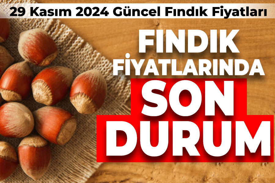 29 Kasım 2024 Fındık Fiyatlarında son durum