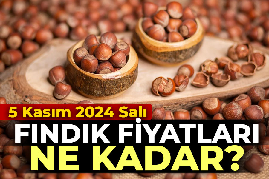 5 Kasım 2024 Salı Fındık Fiyatları ne kadar?