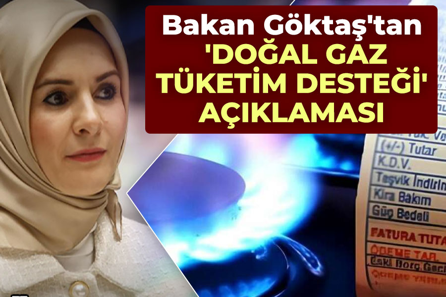 Bakan Göktaş'tan 'Doğal Gaz Tüketim Desteği' hakkında açıklama