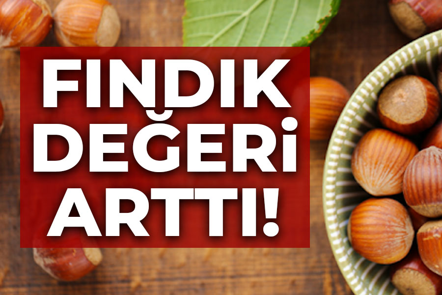 Fındık değeri arttı!