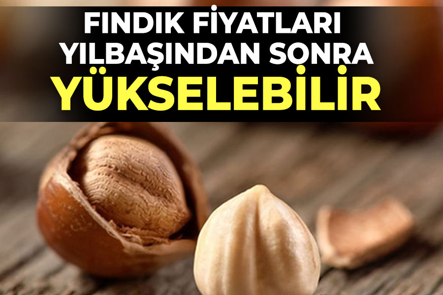 Fındık fiyatı yükselebilir