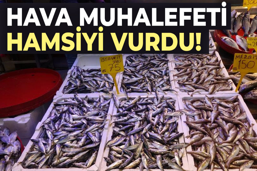 Hava muhalefeti hamsiyi vurdu!