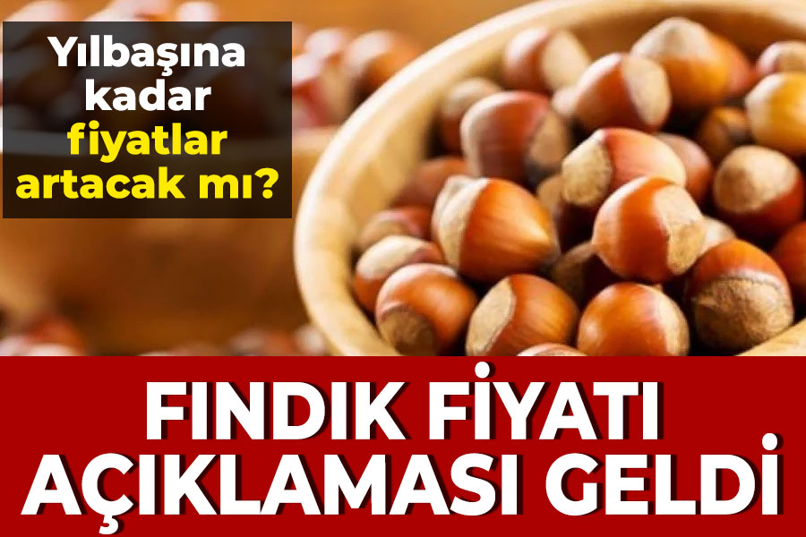 Fındık fiyatı açıklaması!