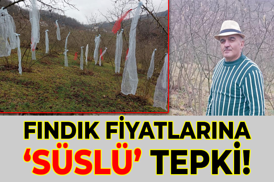 Fındık fiyatlarına 'süslü' tepki!