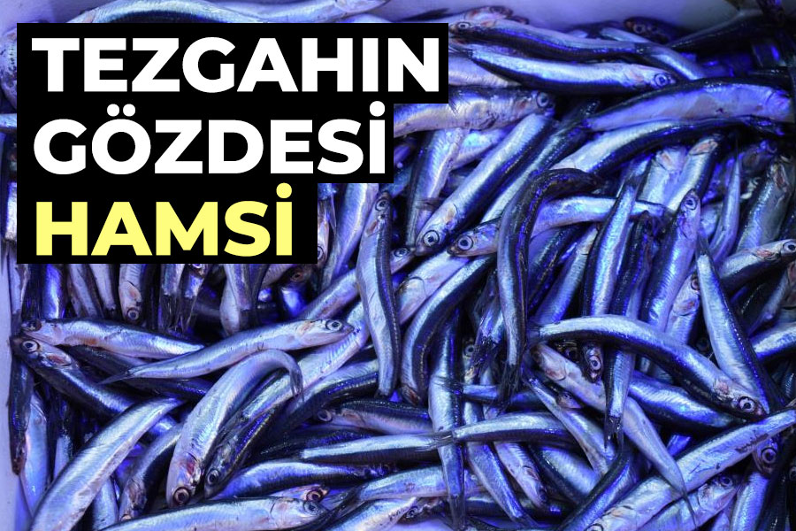 Tezgahın gözdesi hamsi