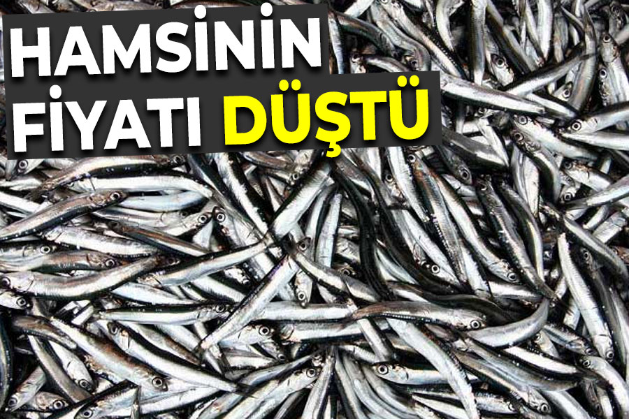 Hamsi fiyatı düştü!