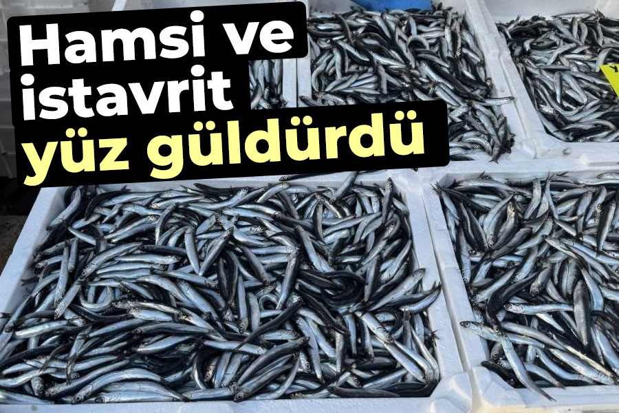 Hamsi ve istavrit yüz güldürdü