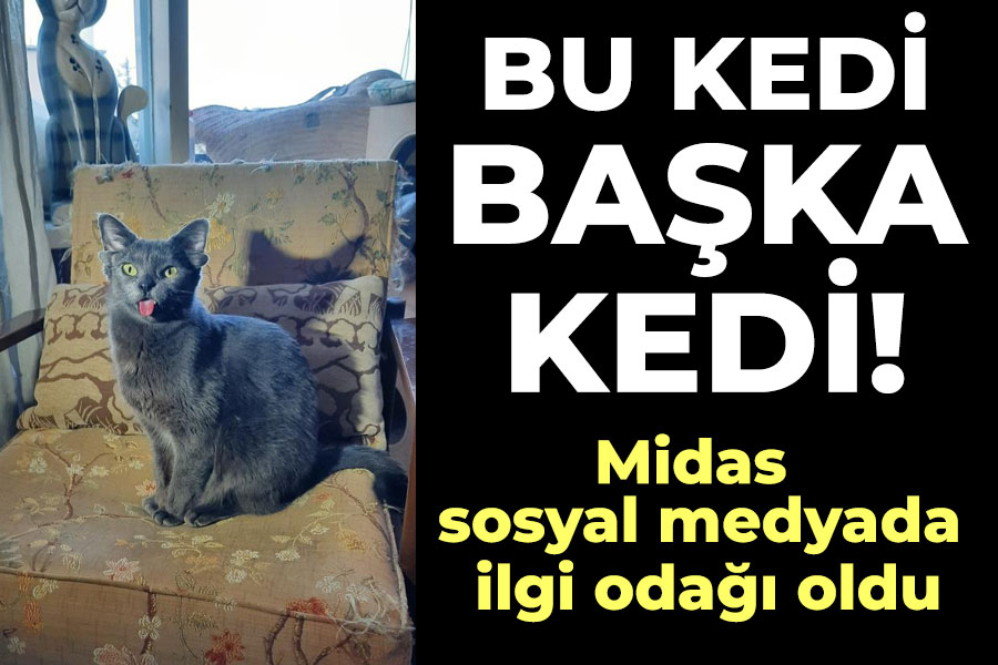 Midas sosyal medyada ilgi odağı oldu